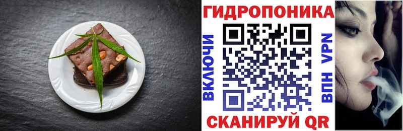 hydra ССЫЛКА  Борзя  Canna-Cookies марихуана 