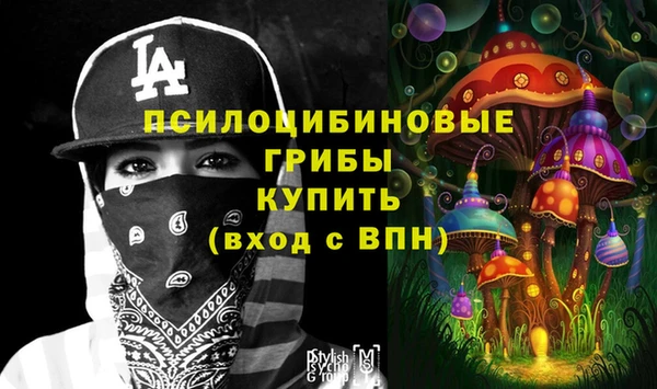 крисы Алексеевка