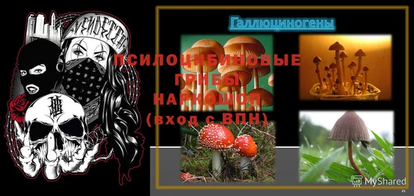 крисы Алексеевка